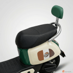 ION H800 Edison-99 Black Dual Seat and Chrome Backrest with Green Padding
