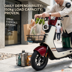 ZEN-QOR T109 ION-H800 Edison-99 500W Electric Scooter - Image 9
